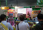 ピップ株式会社様 大阪EXPO2015